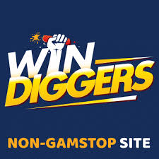 Win Diggers Casino Site Review|Should You Play Below?